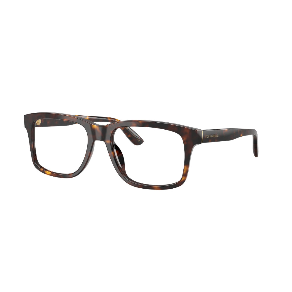 Dolce & Gabbana  DG 3453