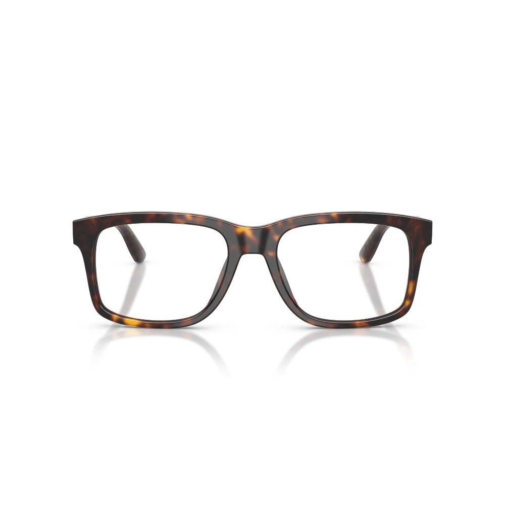 Dolce & Gabbana  DG 3453