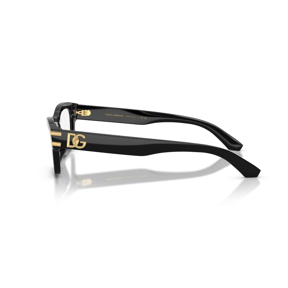 Dolce & Gabbana DG 3454