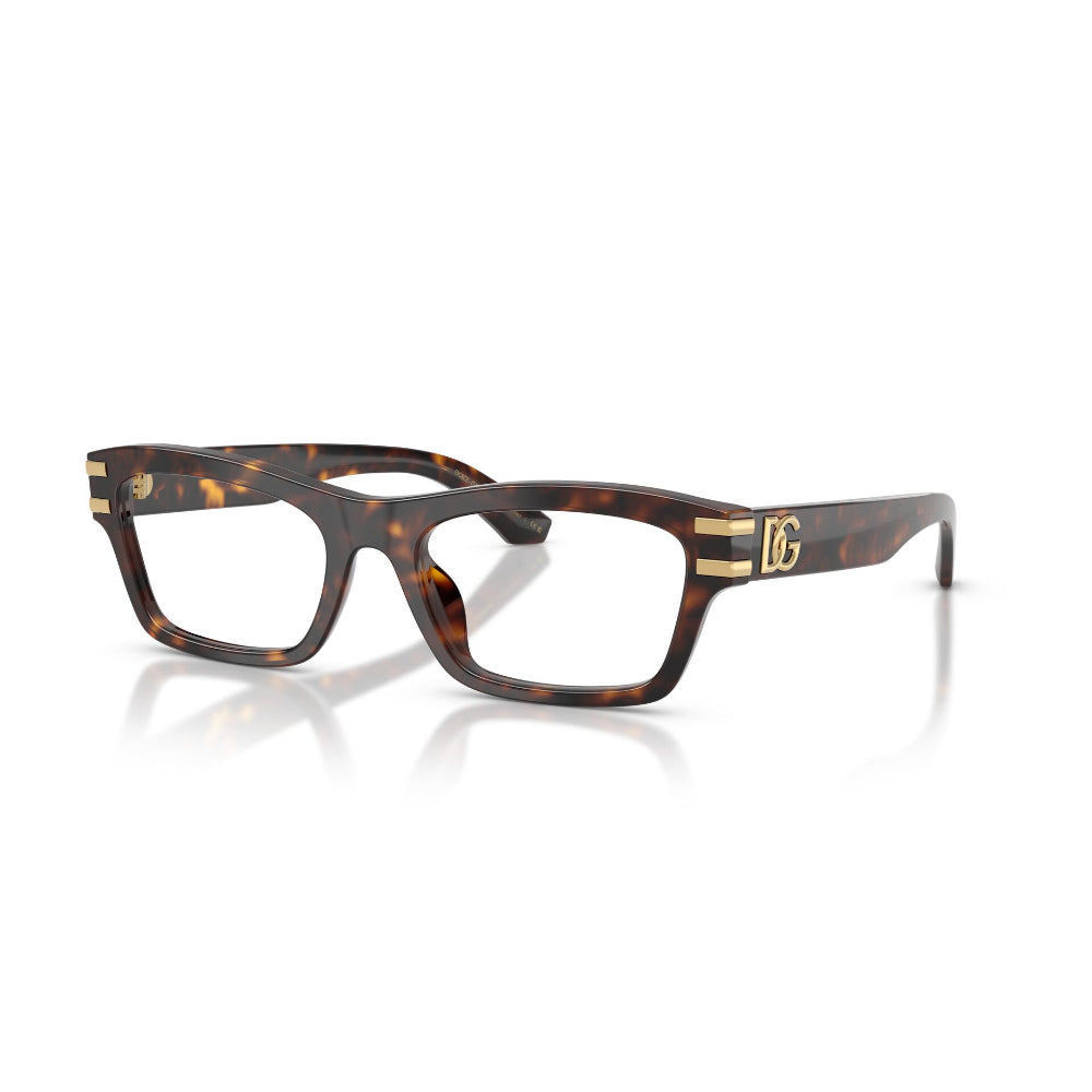 Dolce & Gabbana  DG 3454