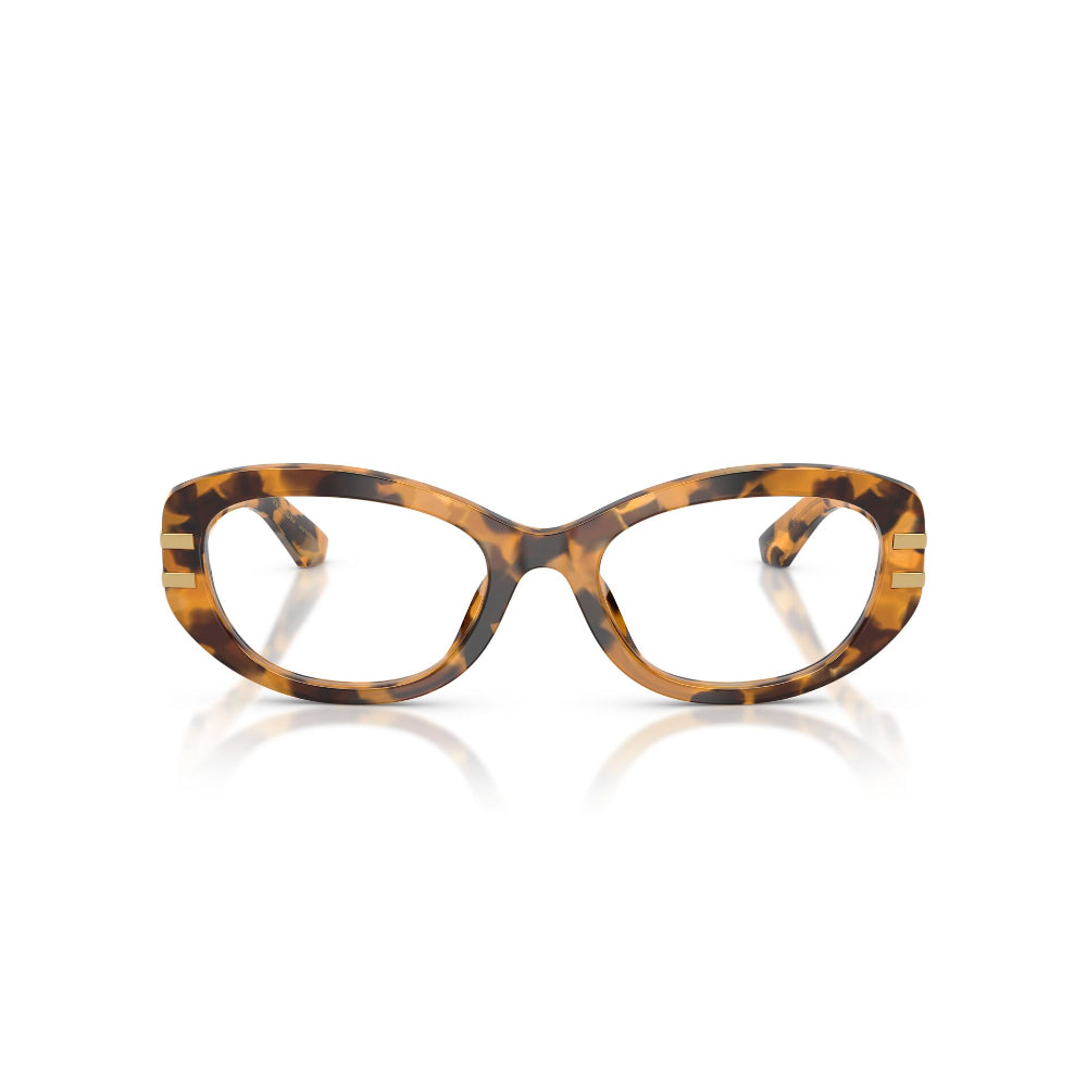 Dolce & Gabbana  DG 3455