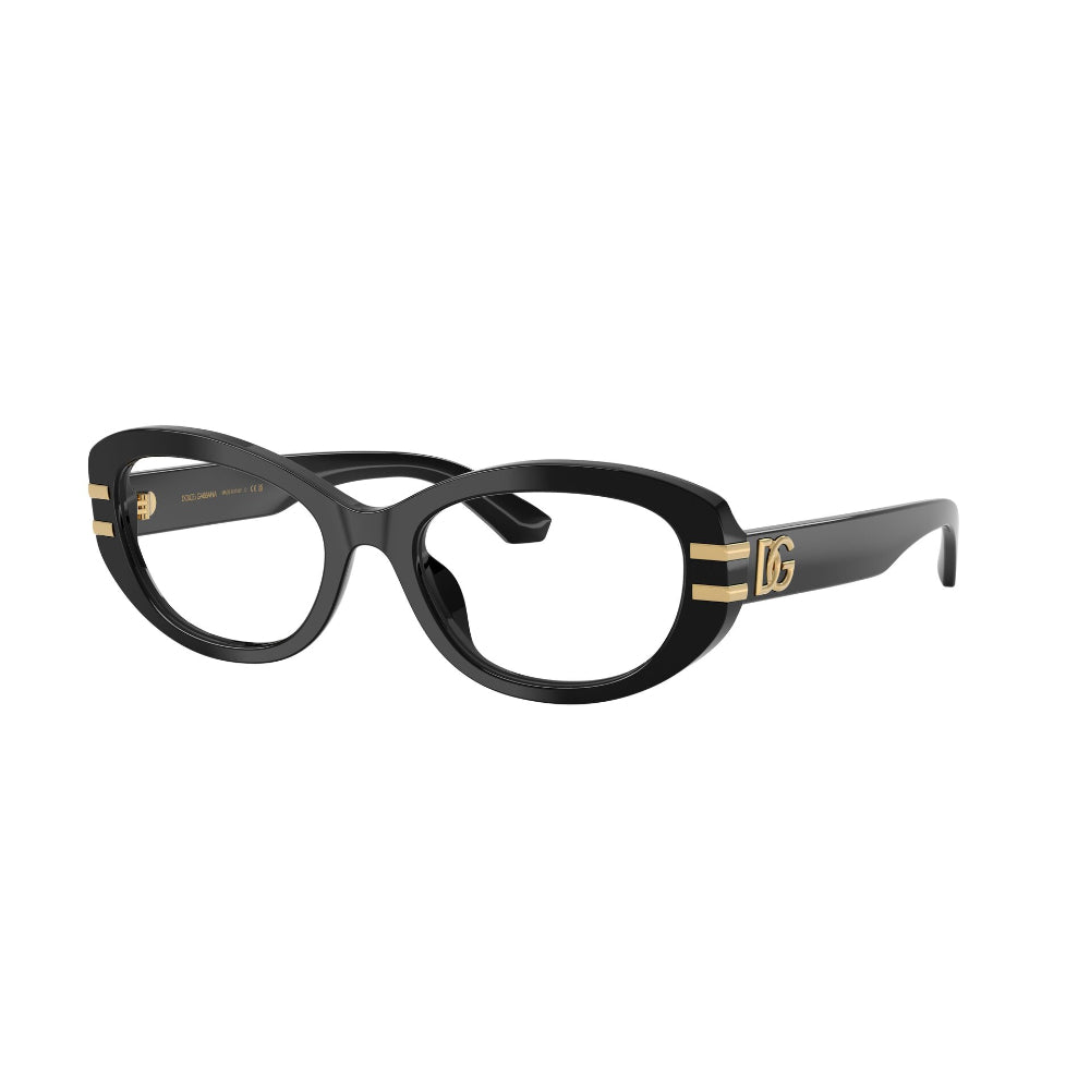 Dolce & Gabbana  DG 3455