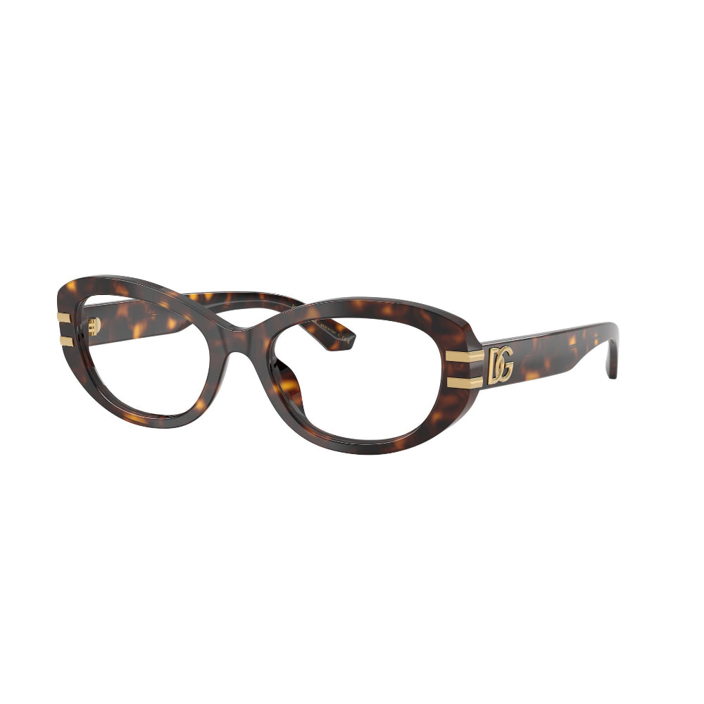 Dolce & Gabbana  DG 3455