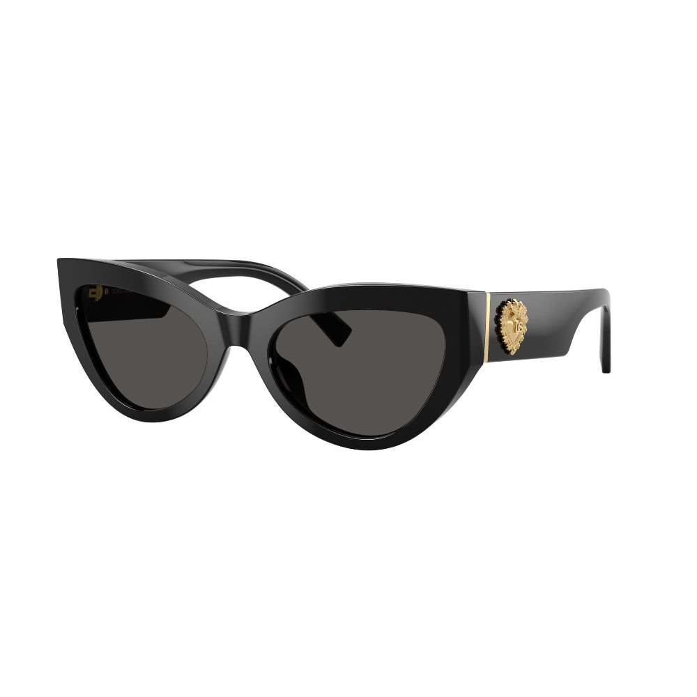 Dolce & Gabbana  DG 4536