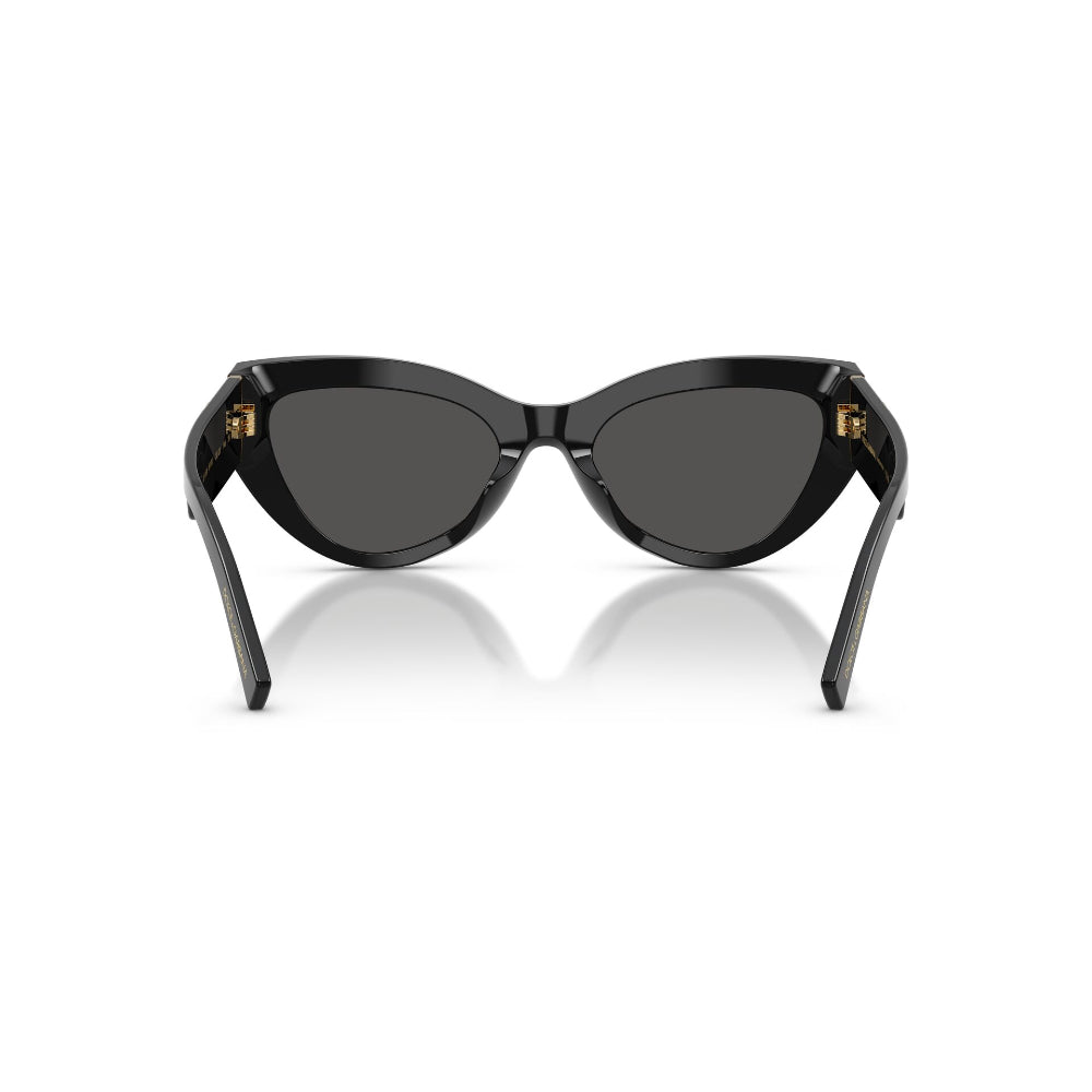 Dolce & Gabbana  DG 4536