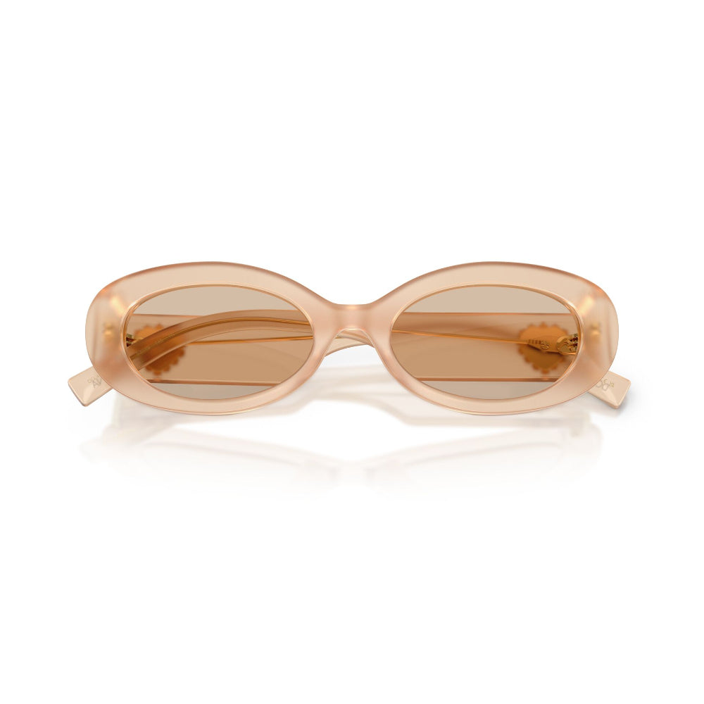 Dolce & Gabbana DG 4537