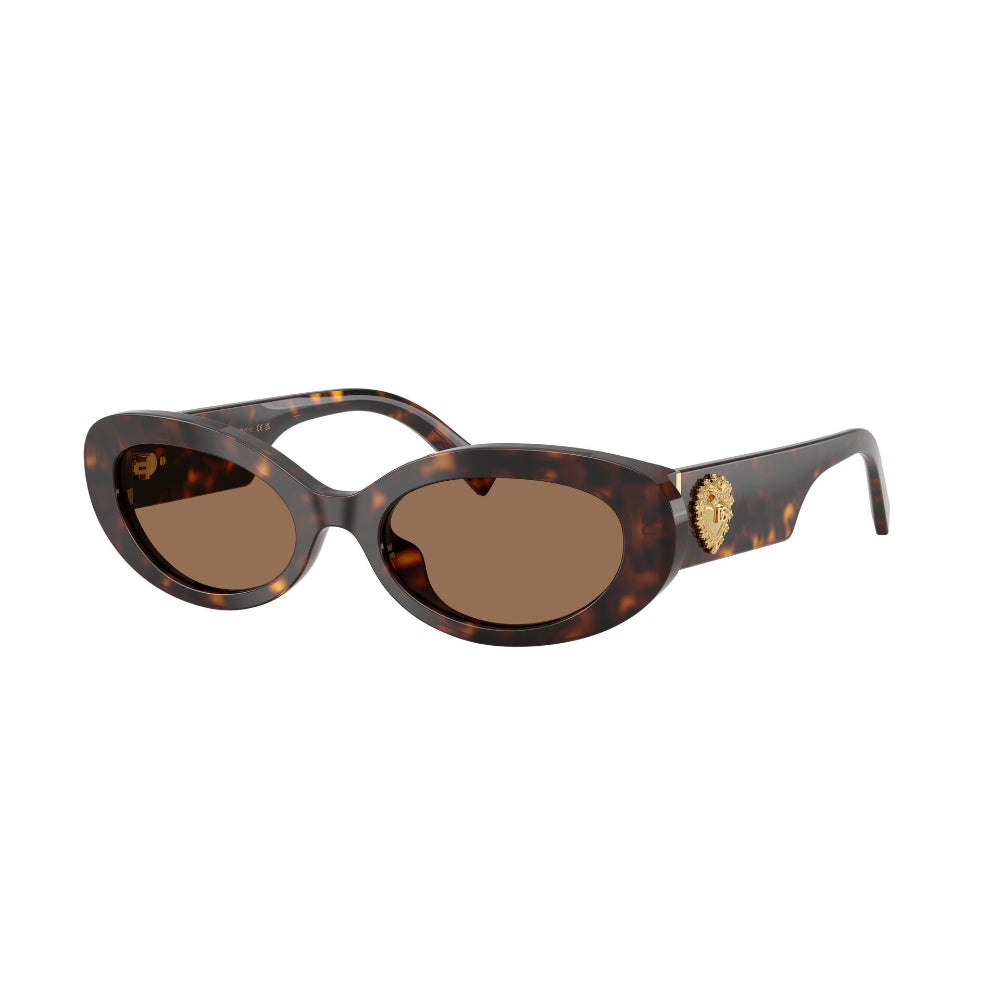 Dolce & Gabbana  DG 4537