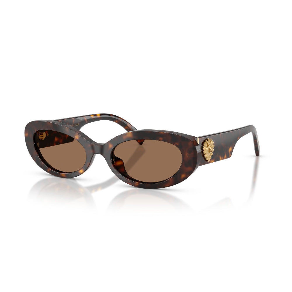 Dolce & Gabbana DG 4537