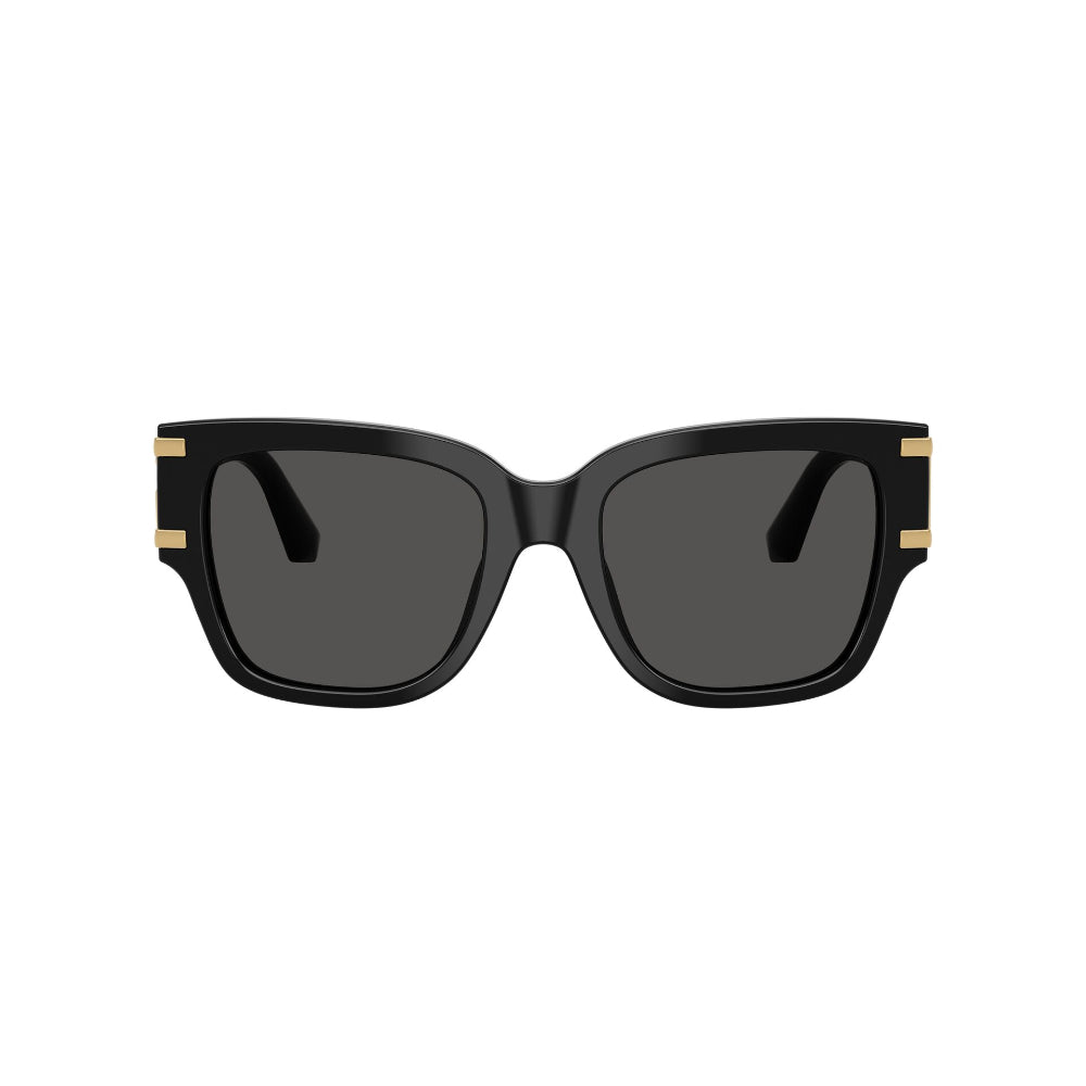 Dolce & Gabbana  DG 4563