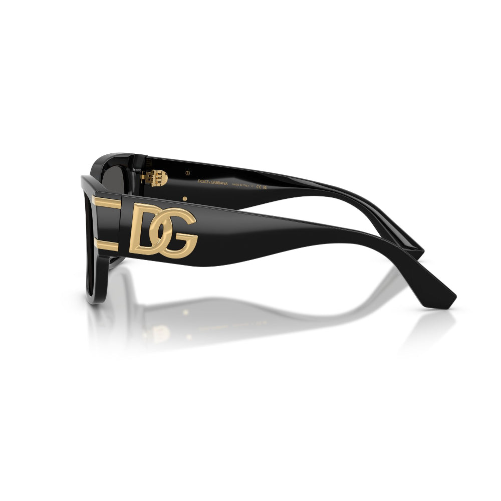 Dolce & Gabbana  DG 4563