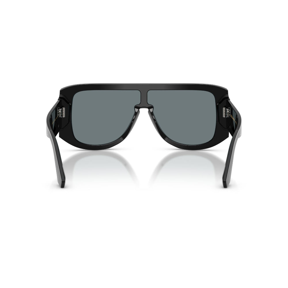 Dolce & Gabbana DG 4565
