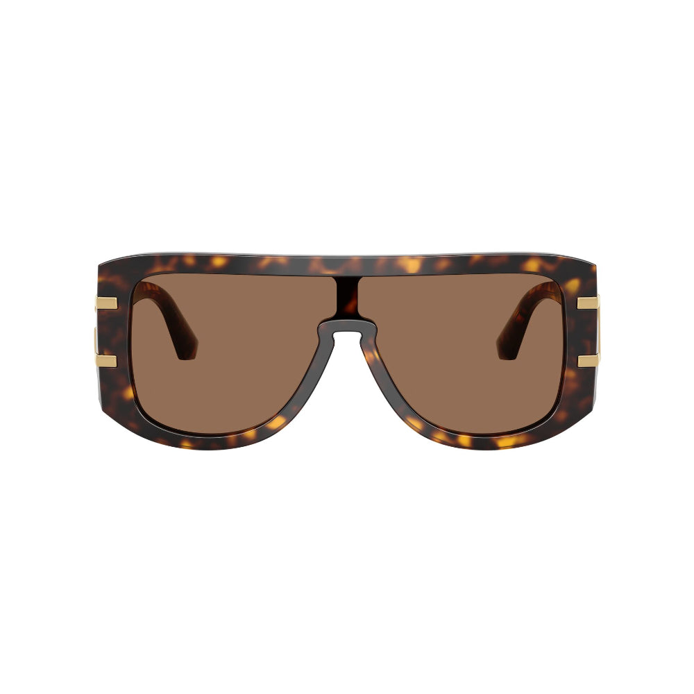 Dolce & Gabbana  DG 4565