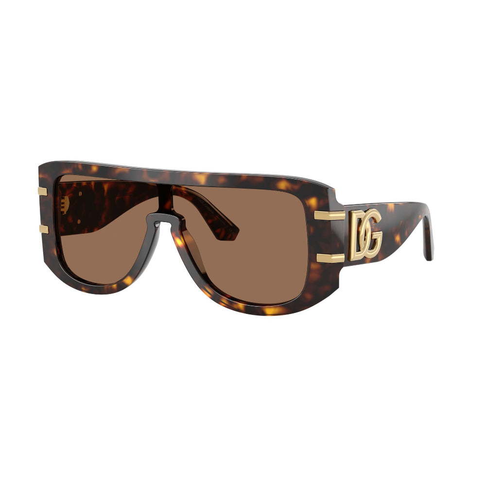 Dolce & Gabbana  DG 4565