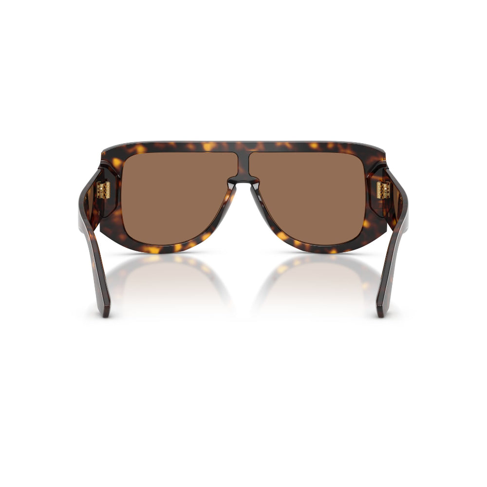 Dolce & Gabbana DG 4565