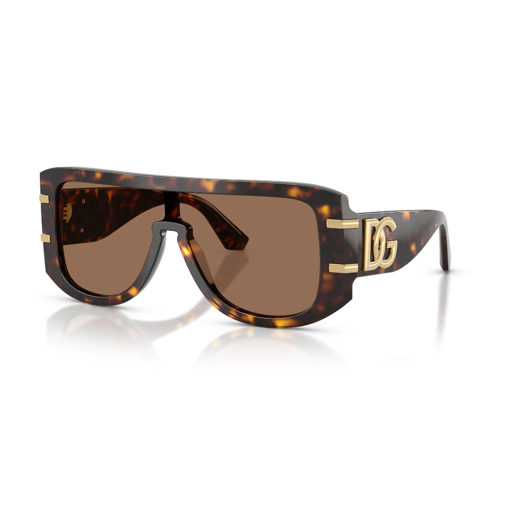 Dolce & Gabbana  DG 4565