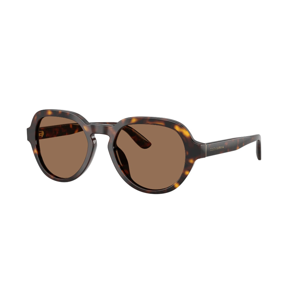 Dolce & Gabbana  DG 4567