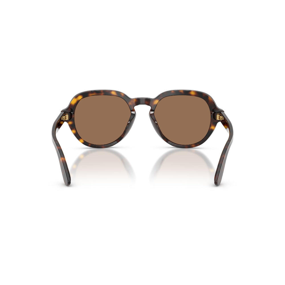 Dolce & Gabbana DG 4567