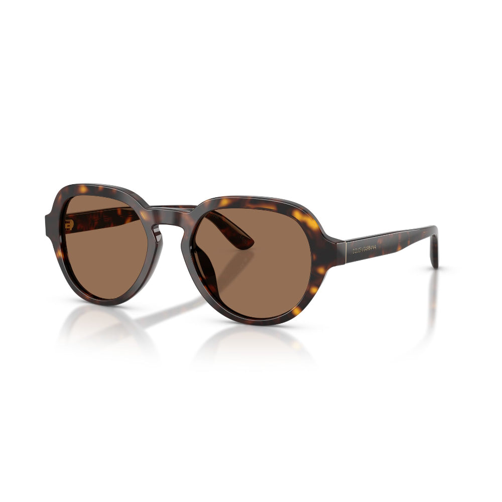 Dolce & Gabbana  DG 4567