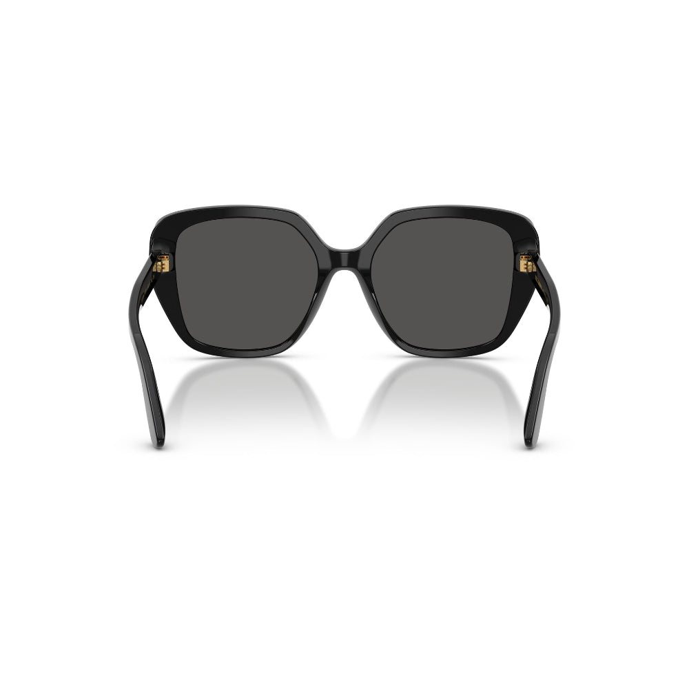Dolce & Gabbana  DG 4569