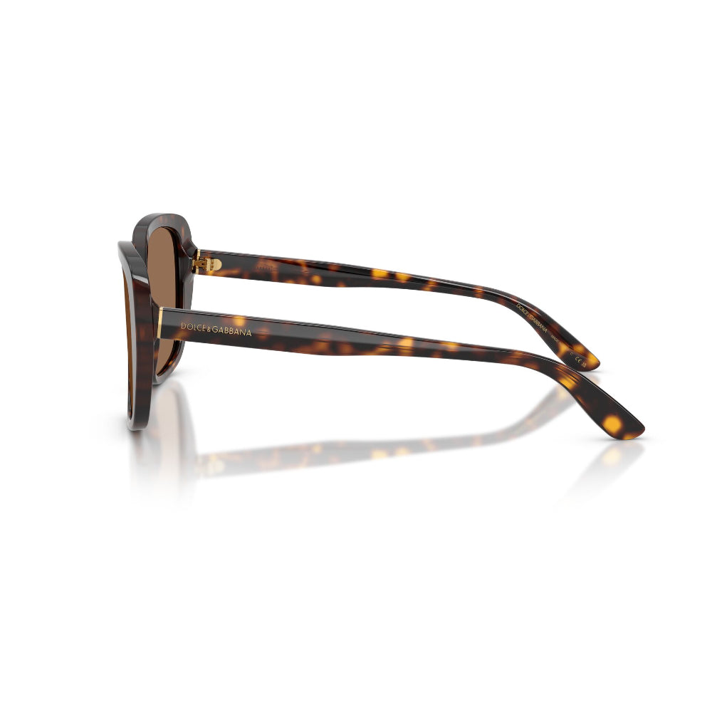 Dolce & Gabbana DG 4569