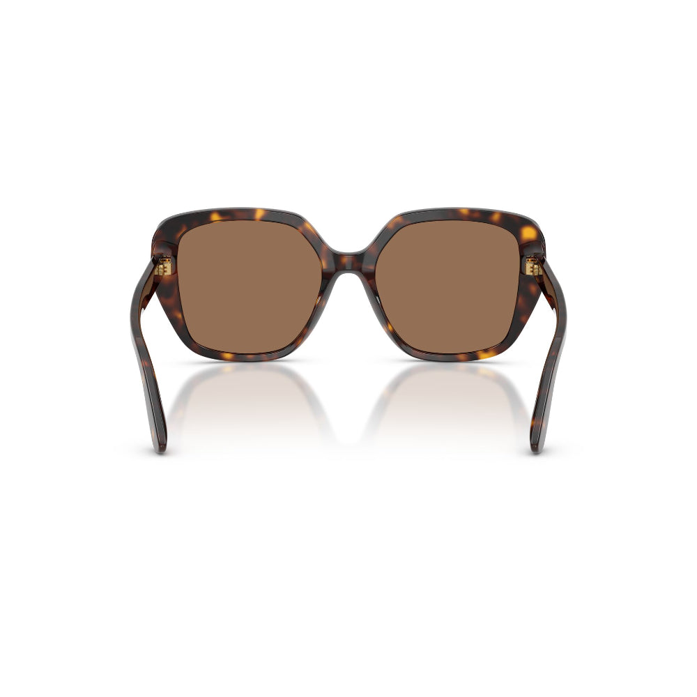 Dolce & Gabbana DG 4569
