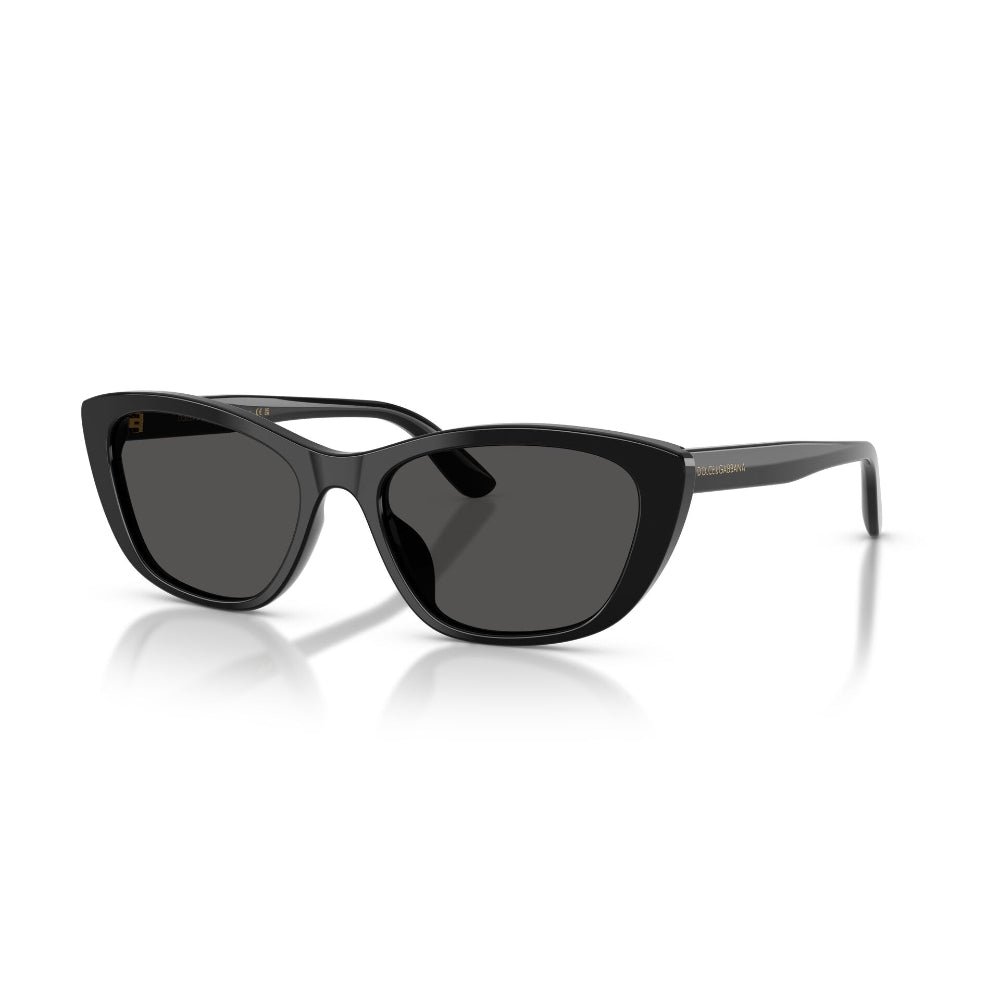 Dolce & Gabbana  DG 4571