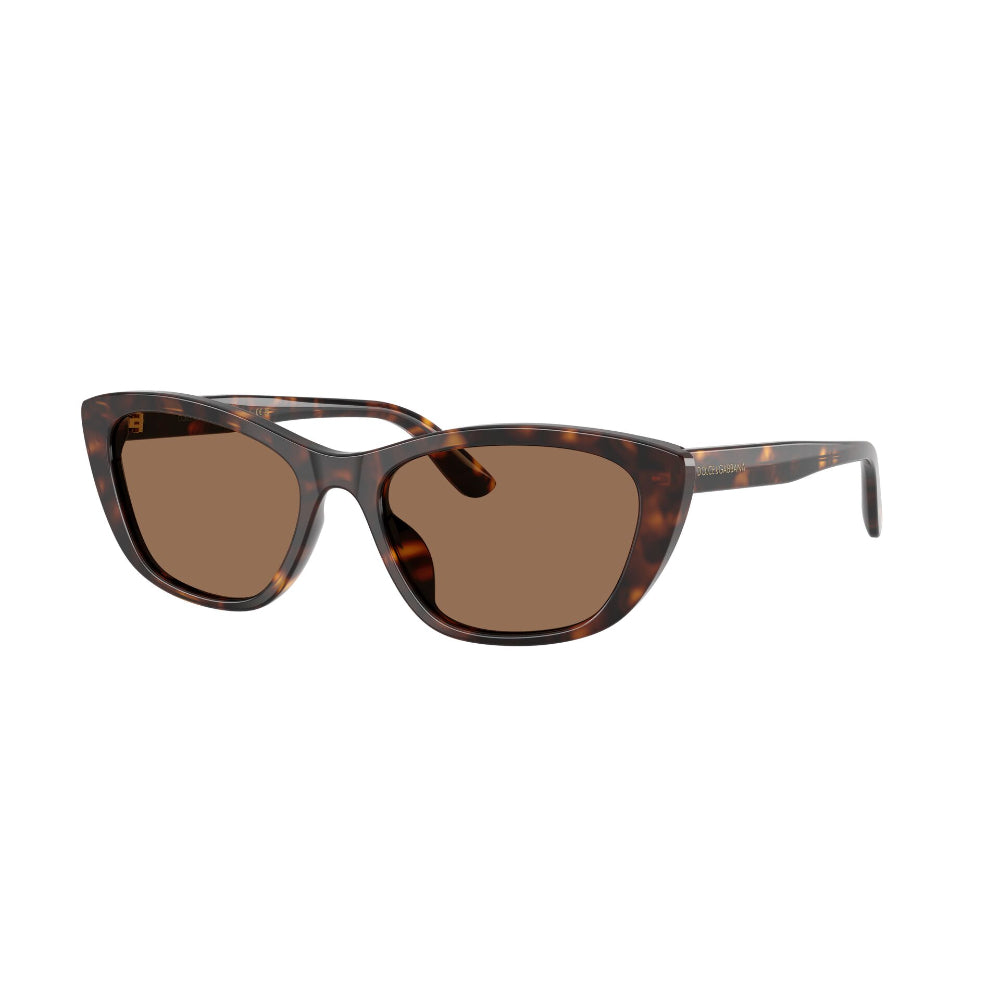 Dolce & Gabbana  DG 4571