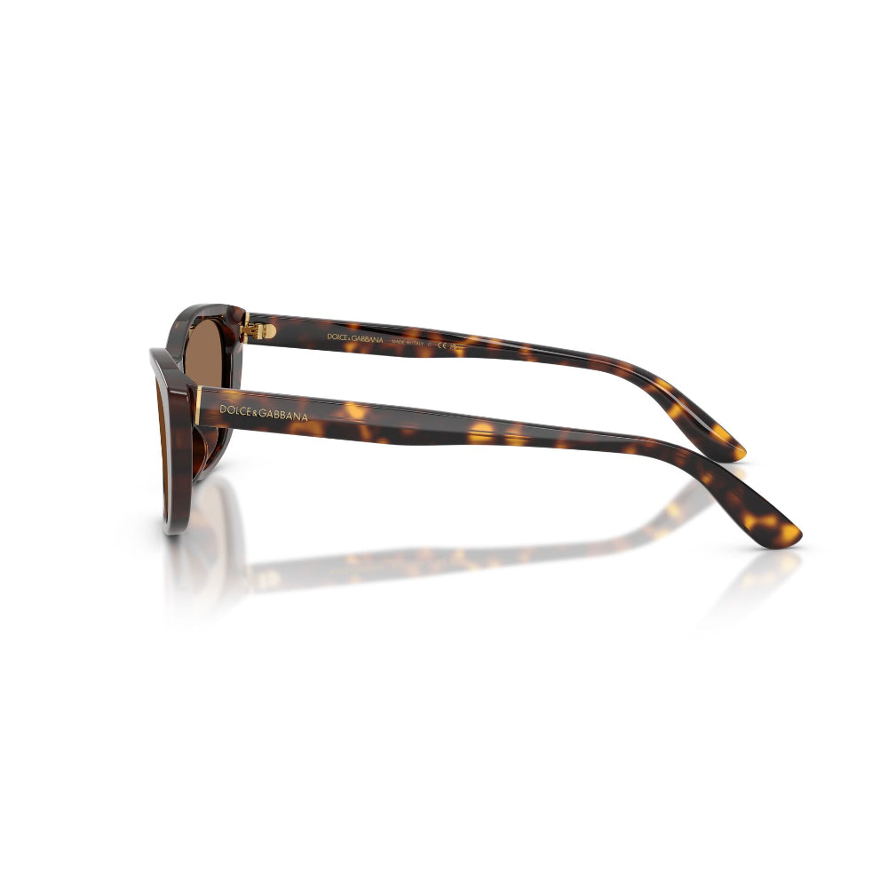 Dolce & Gabbana DG 4571