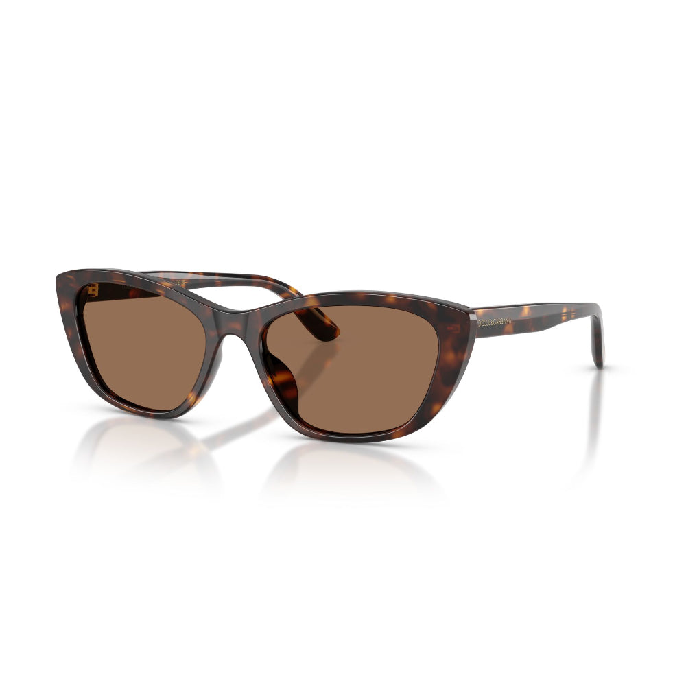 Dolce & Gabbana  DG 4571