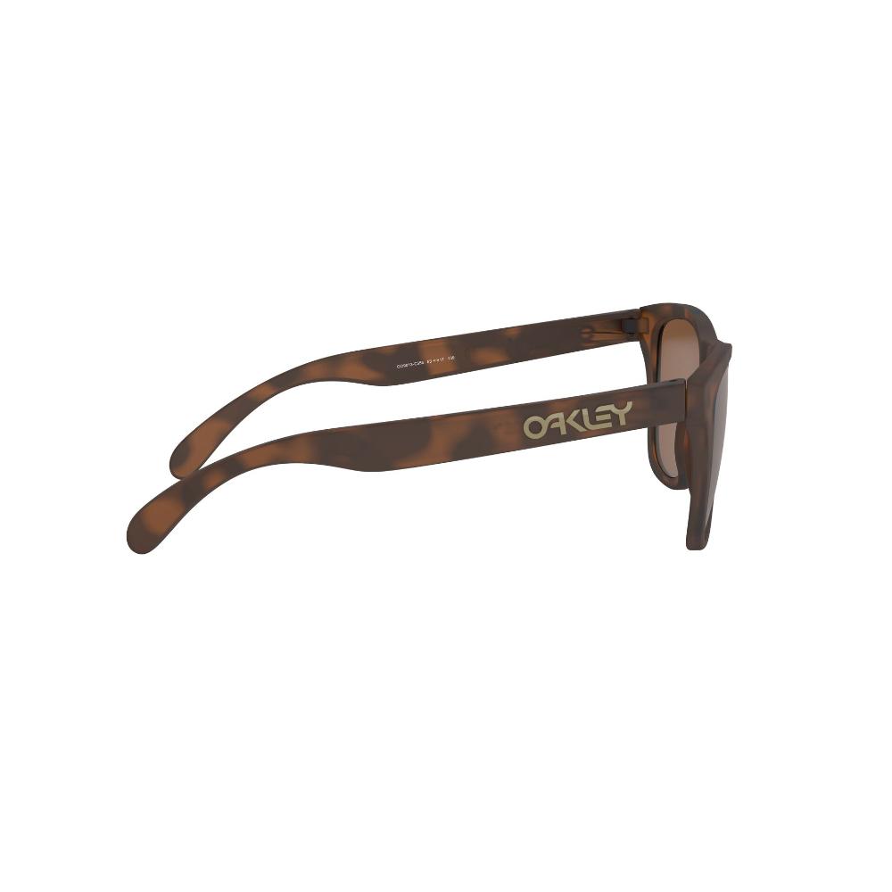 Oakley Frogskins