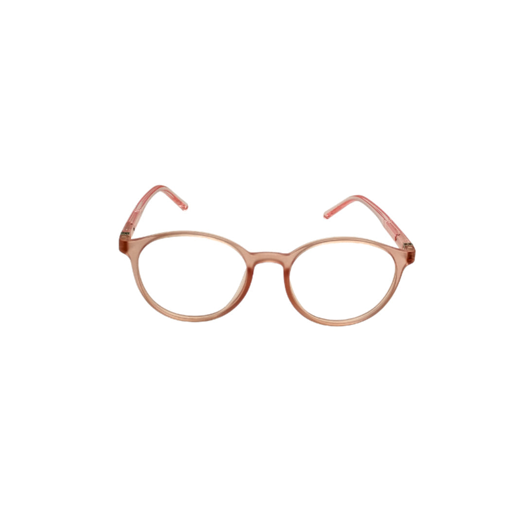 LT 713  Rosa