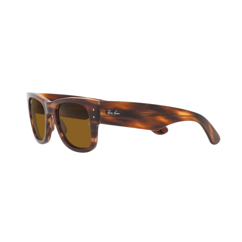 Ray-Ban  Mega Wayfarer