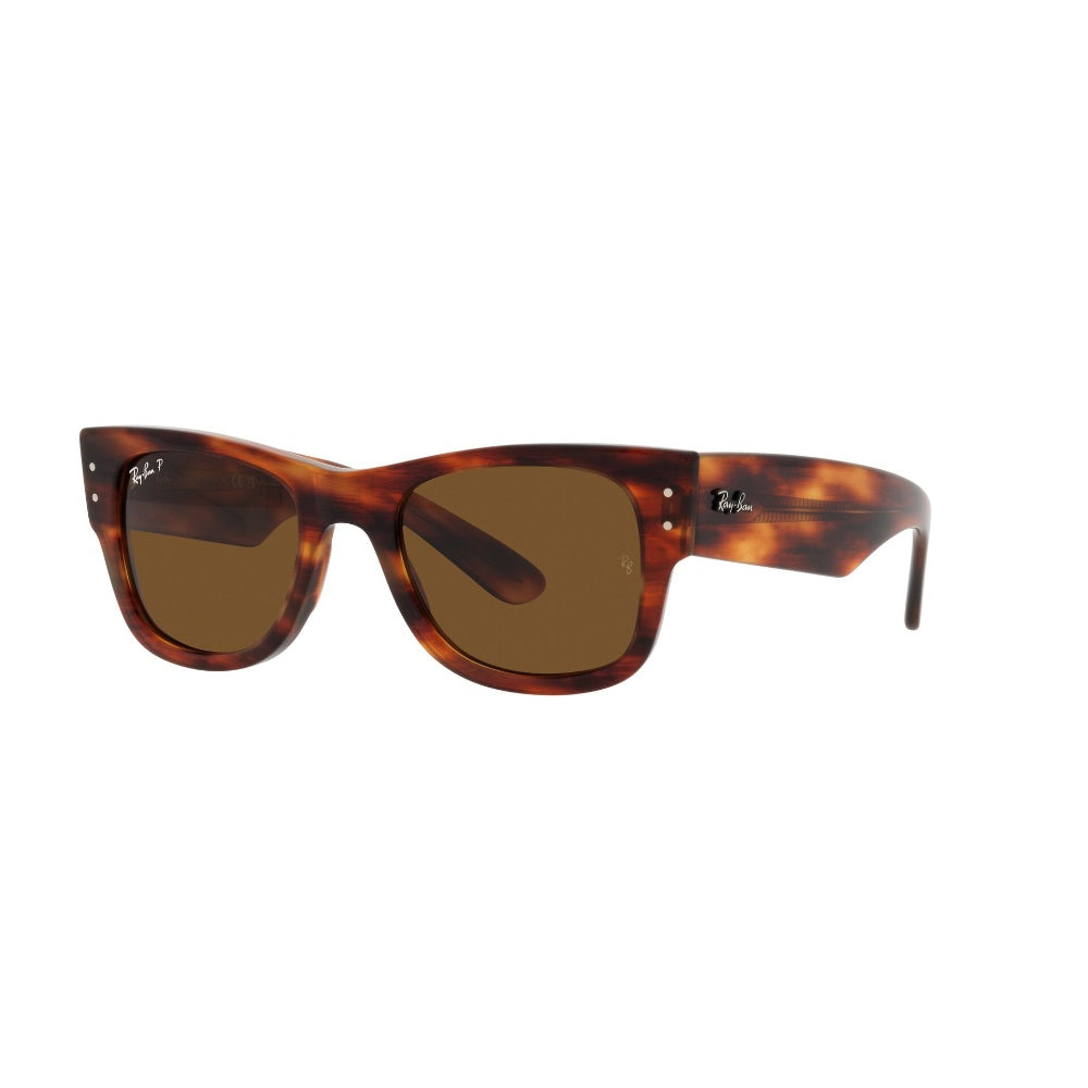 Ray-Ban  Mega Wayfarer Polarizado