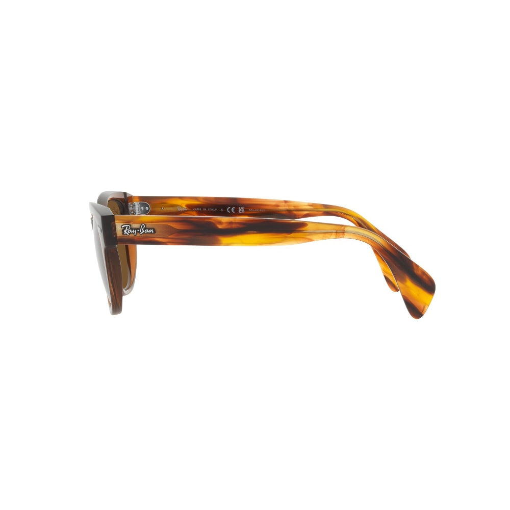 Ray-Ban  Lentes de Sol Polarizado