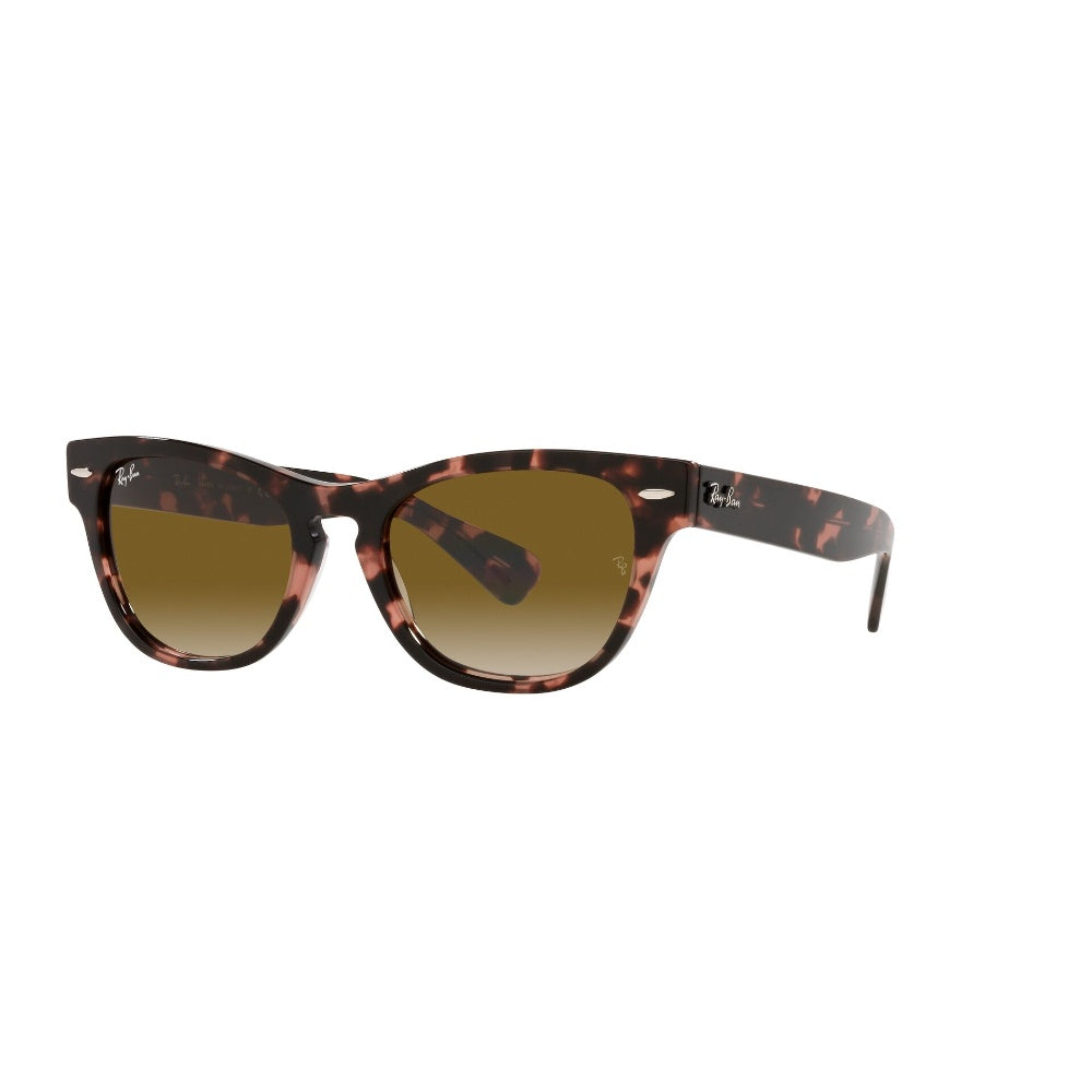 Ray-Ban  Laramie