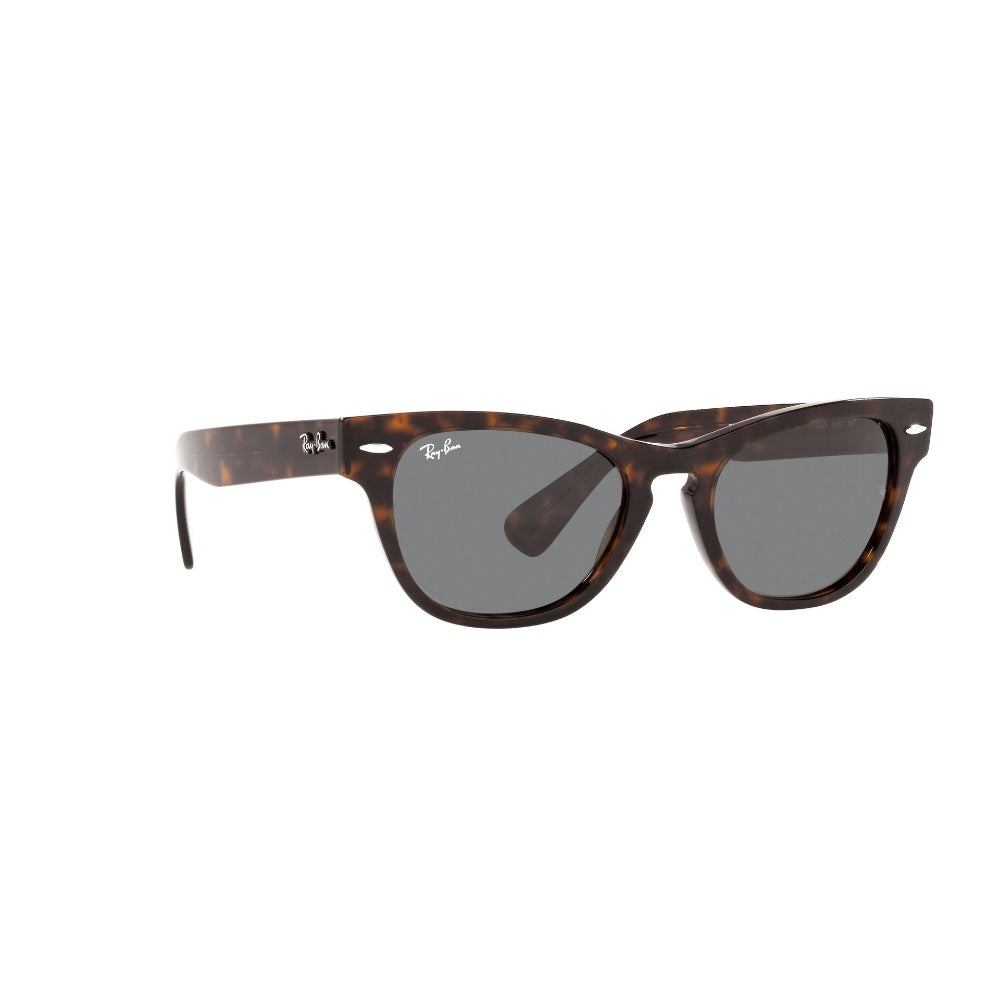 Ray-Ban  Laramie