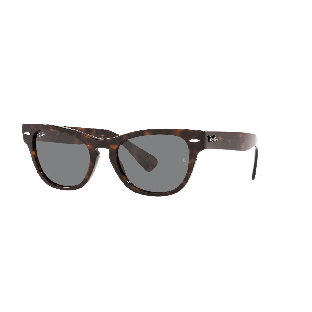 Ray-Ban  Laramie