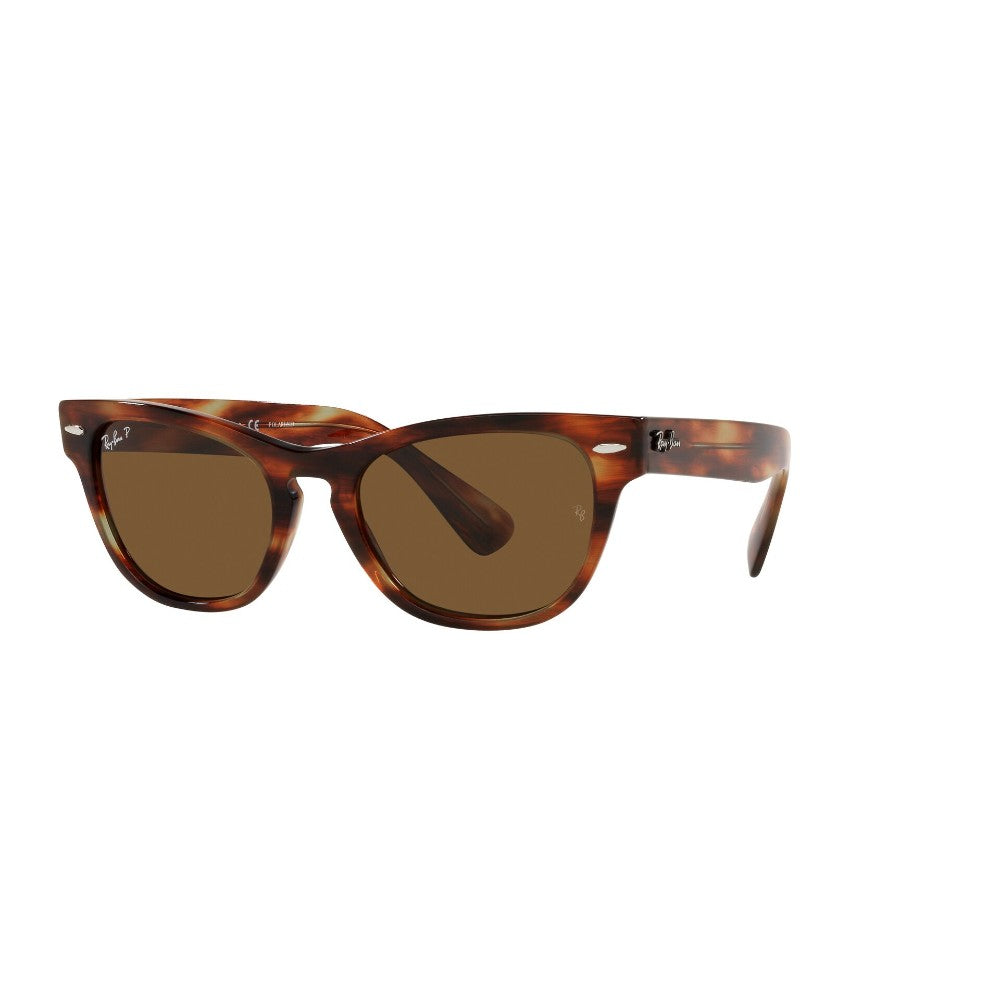 Ray-Ban  Laramie Polarizado