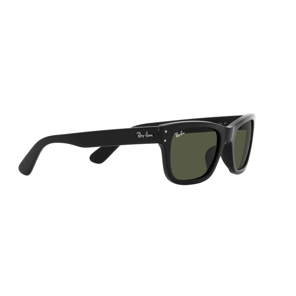 Ray-Ban  Mr Burbank