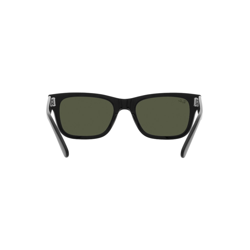Ray-Ban  Mr Burbank