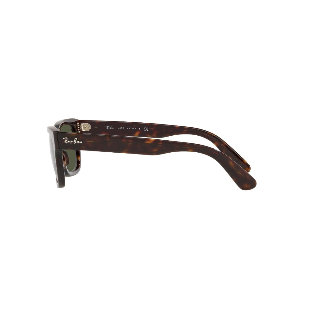 Ray-Ban  Mr Burbank
