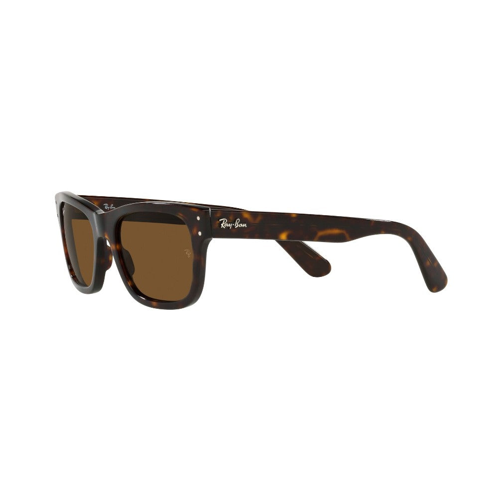 Ray-Ban  Mr Burbank Polarizado