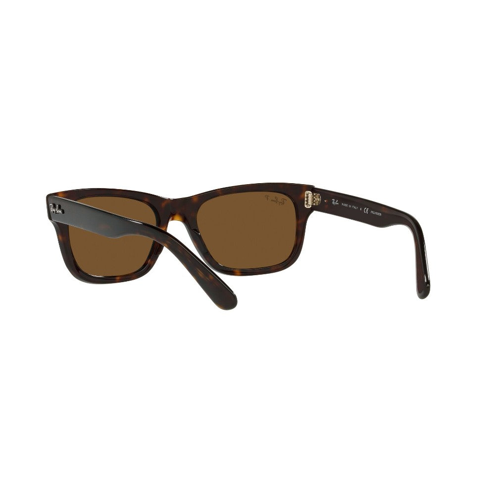 Ray-Ban  Mr Burbank Polarizado