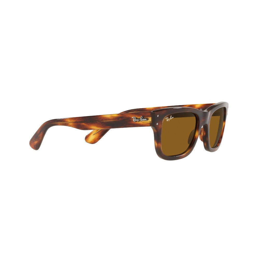 Ray-Ban  Mr Burbank