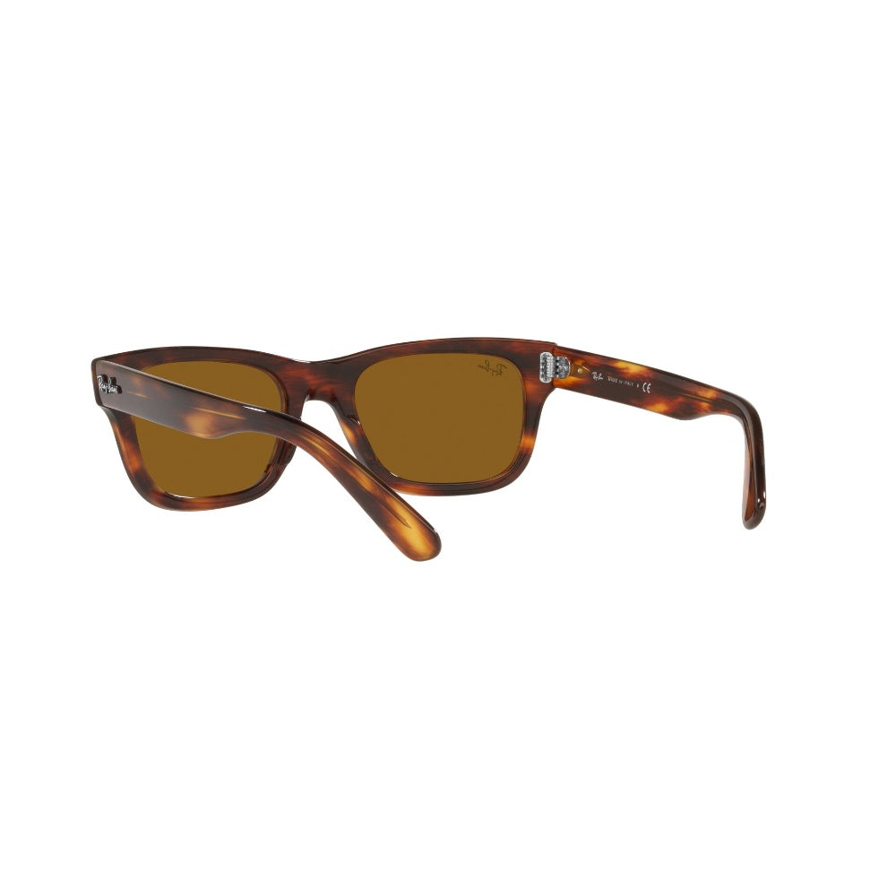 Ray-Ban  Mr Burbank