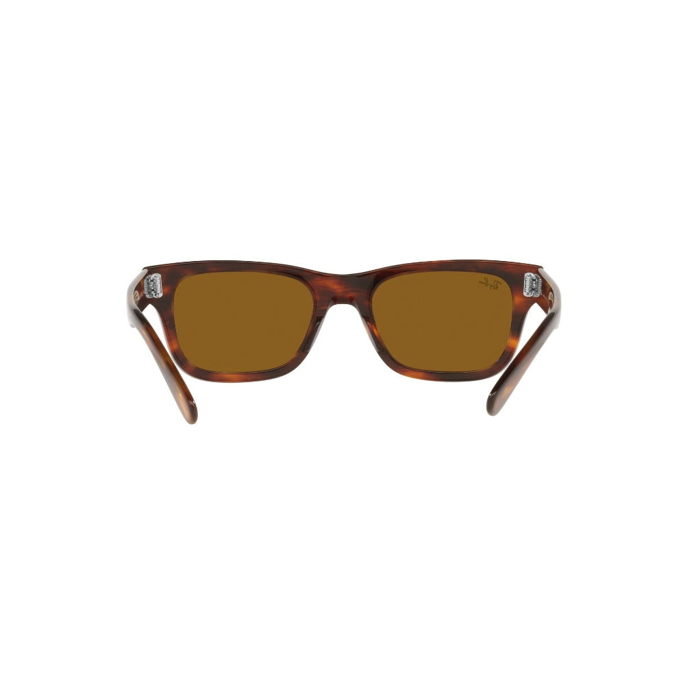 Ray-Ban  Mr Burbank