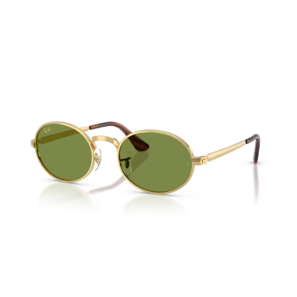 Ray-Ban  BY A$AP ROCKY Lentes de Sol