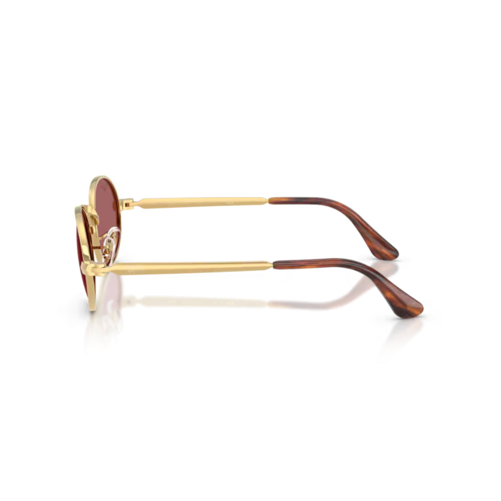 Ray-Ban  BY A$AP ROCKY Lentes de Sol  Polarizado