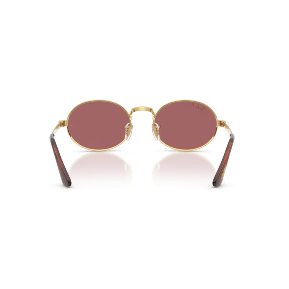 Ray-Ban  BY A$AP ROCKY Lentes de Sol  Polarizado