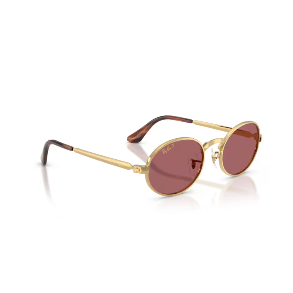Ray-Ban  BY A$AP ROCKY Lentes de Sol  Polarizado